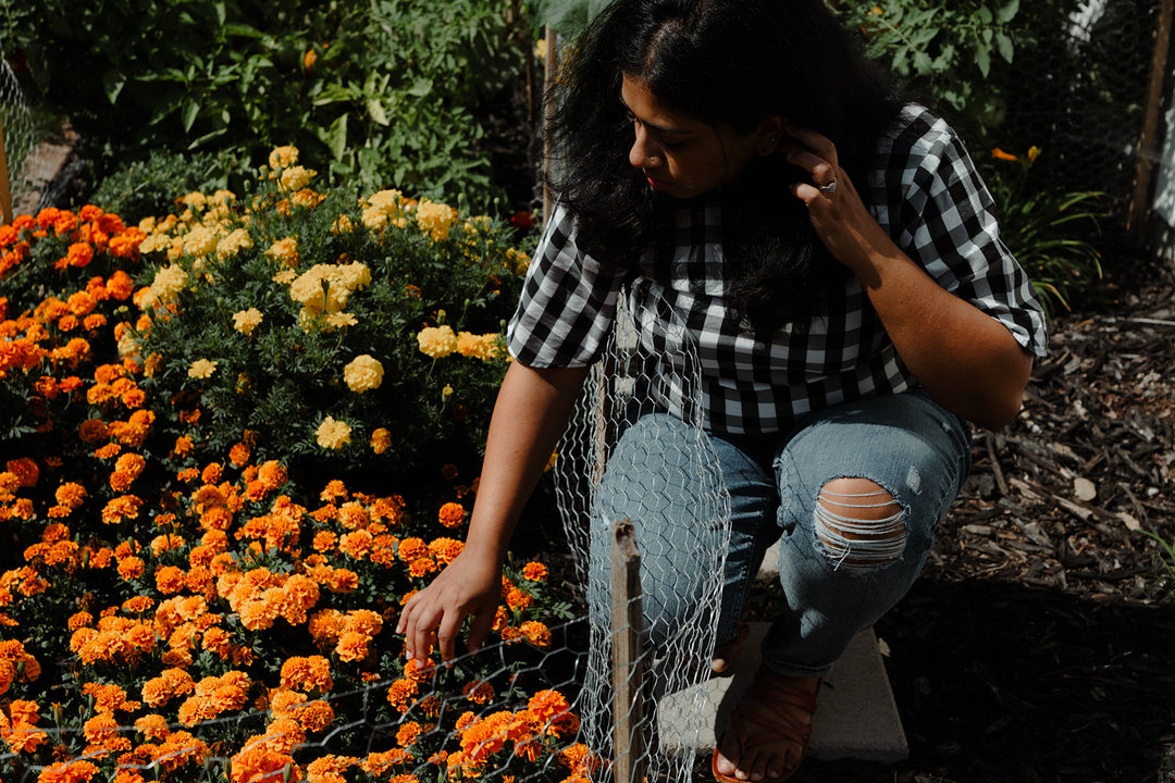 Marigolds and the perfect shade of yellow